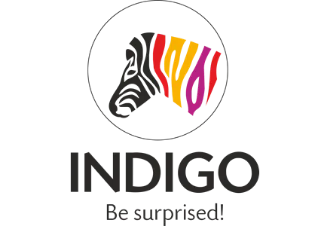 Indigo Paints